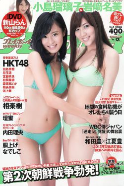 燕子门决战